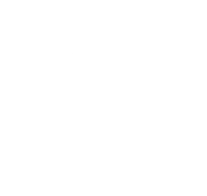 play icon